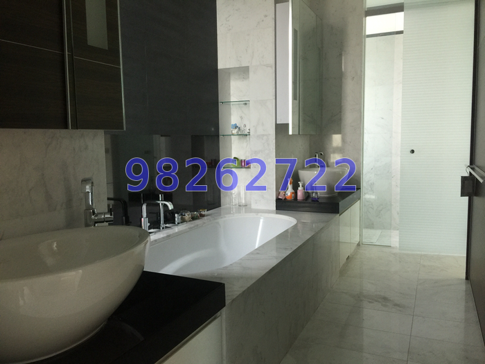 Orange Grove Residences (D10), Condominium #58807282